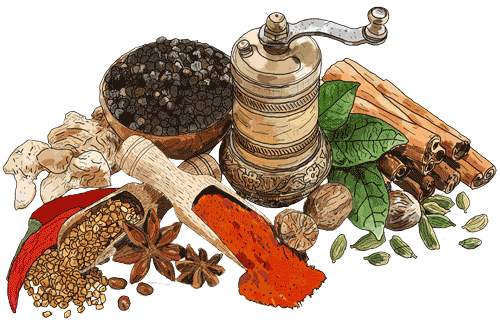 PFI Fine Quality Spices Illustration