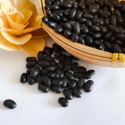 Chinese Small Black kidney Beans black matpe