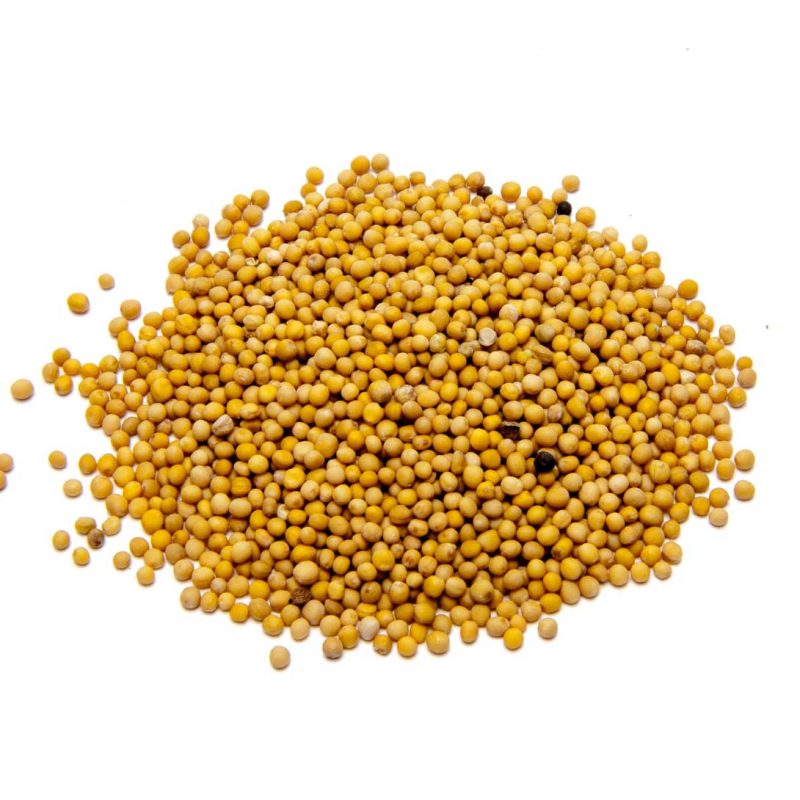 Mustard Seed Yellow Whole
